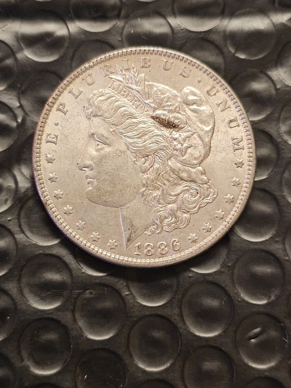 1886 Morgan Silver Dollar